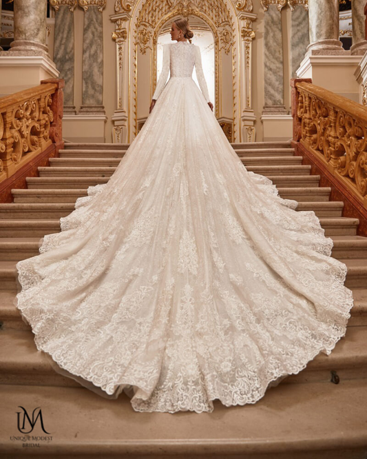 💠 Platinum Member